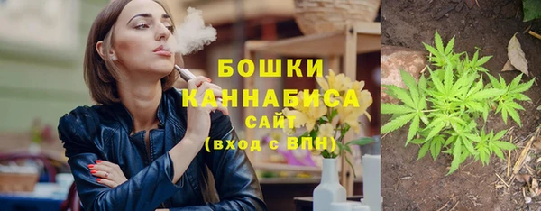 хмурый Сатка