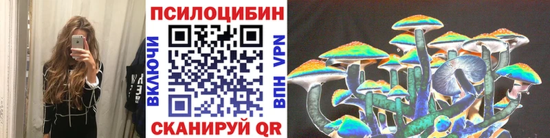 магазин продажи   Вязники  Галлюциногенные грибы Cubensis 